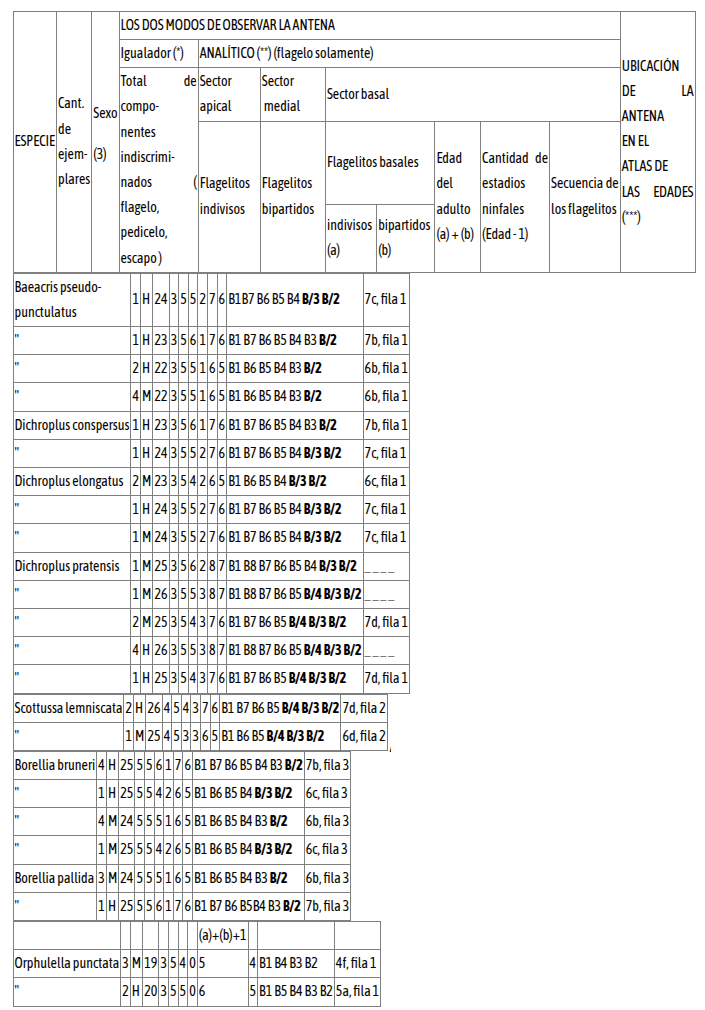 Datos biológicos (edad y cantidad de estadios ninfales) obtenidos por la observación de las antenas de adultos de varias especies de acridios capturados en pasturas uruguayas (Orthoptera: Acrididae) 1 Cuadro 1 e1776289721787